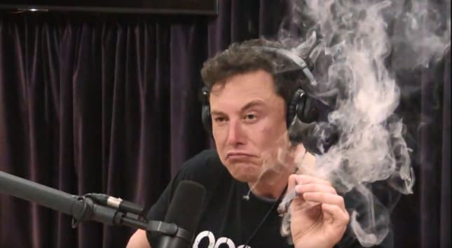 musk.webp