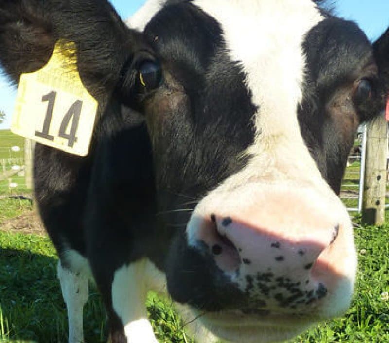 milkandmoney